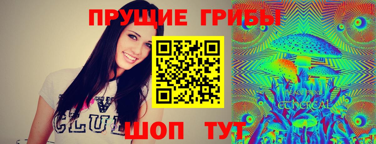 Псилоцибиновые грибы мицелий Петропавловск-Камчатский