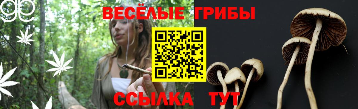 Петропавловск-Камчатский  Псилоцибиновые грибы мицелий  Галлюциногенные грибы мицелий  магазин продажи наркотиков  Вход с VPN 